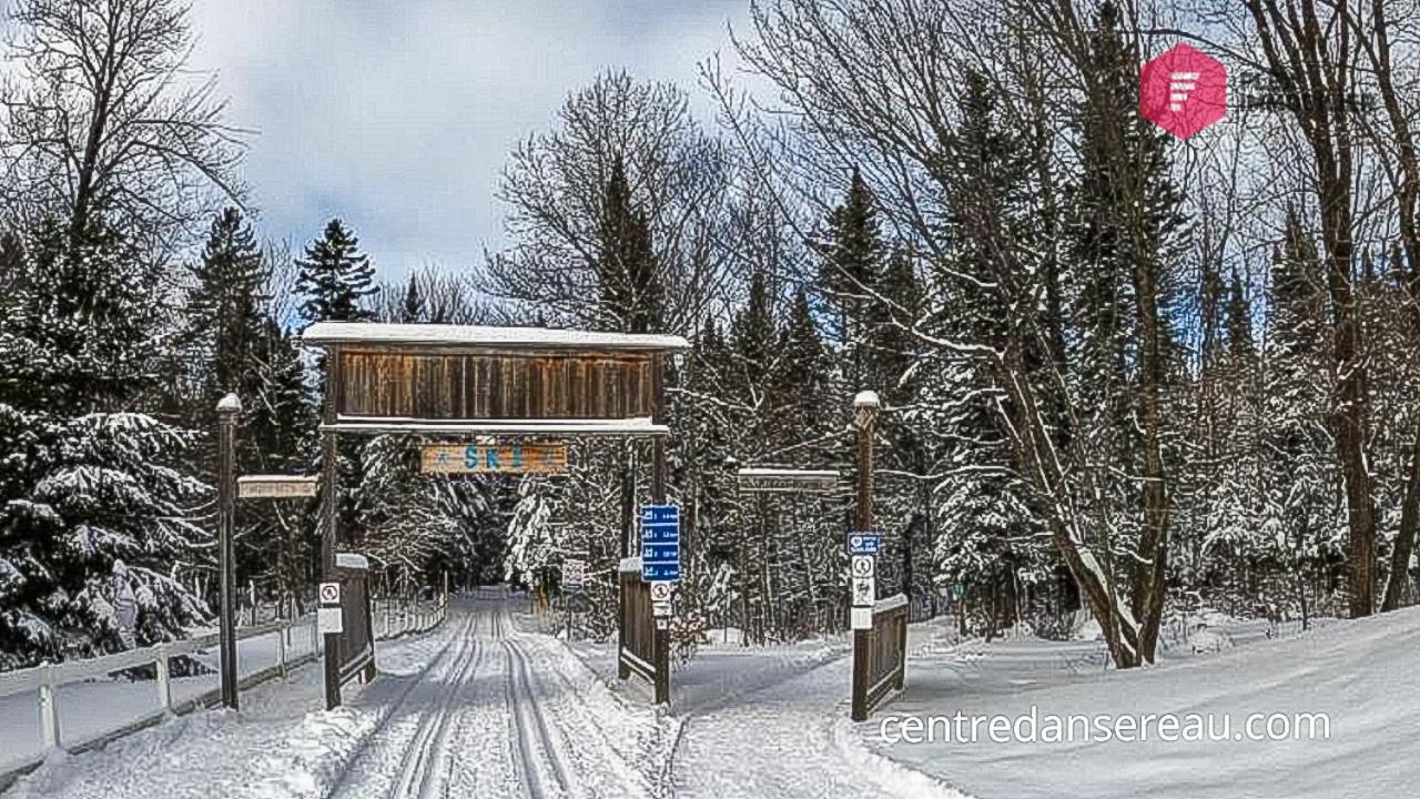 Le Bleu Bourgeois De Portneuf - Natural Elegance - Hot Tub, Sauna And Pool Pont-Rouge Exteriér fotografie